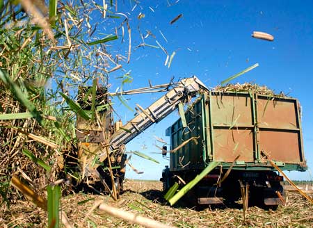 El país necesita mucho más de la agricultura en general y de la industria azucarera